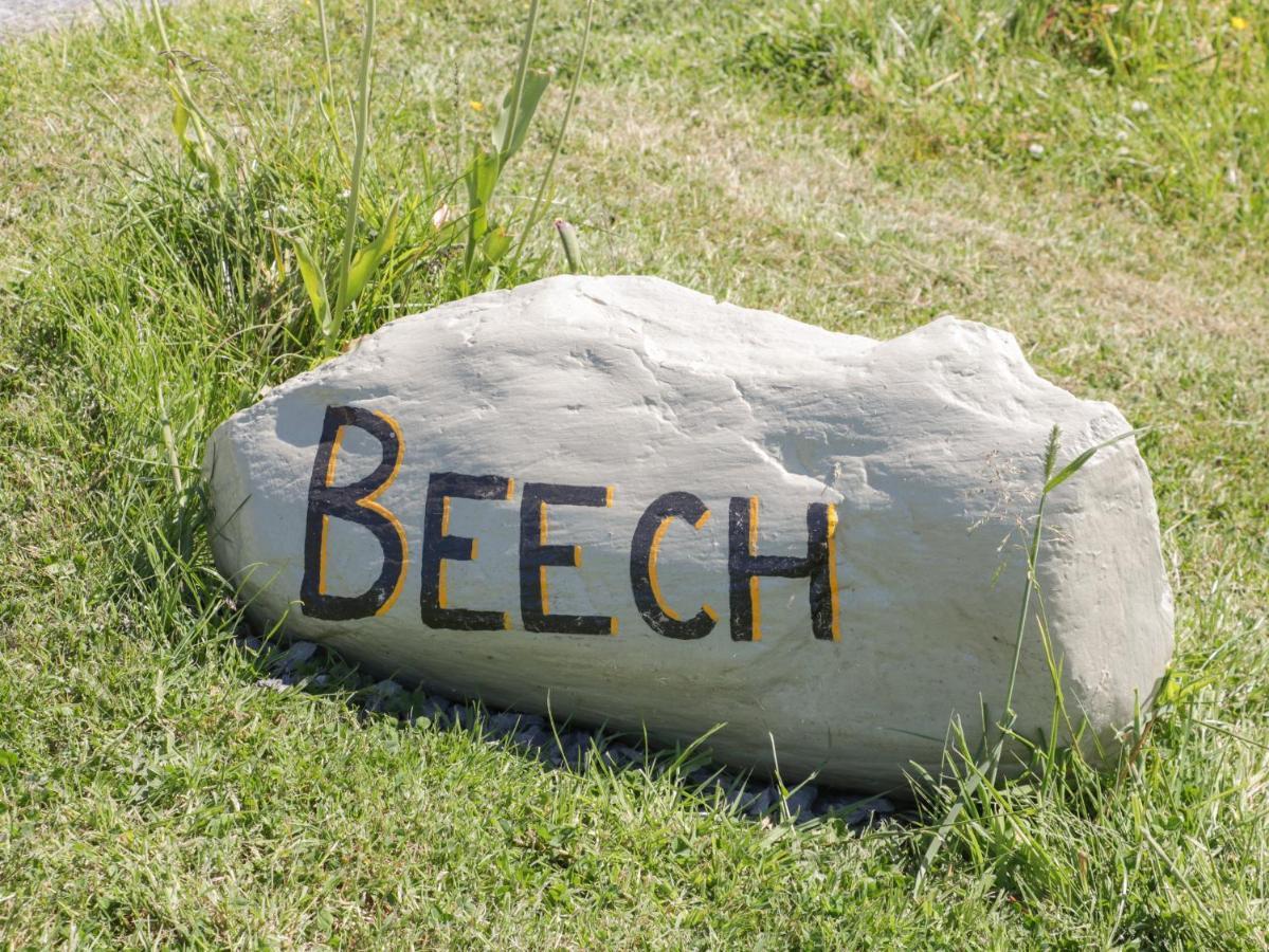 Vila Beech Ulverston Exteriér fotografie