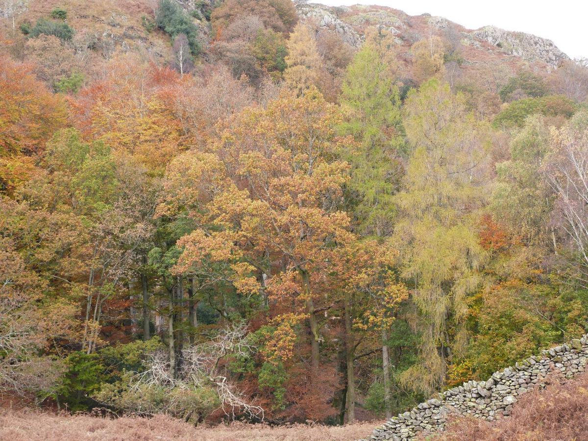 Vila Beech Ulverston Exteriér fotografie